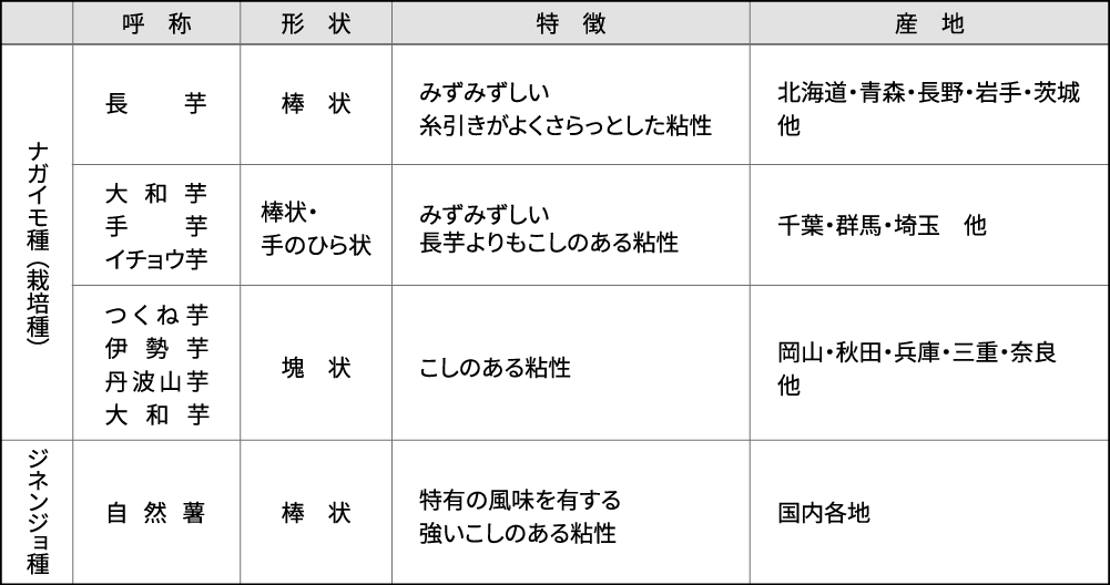品質・呼称・形状